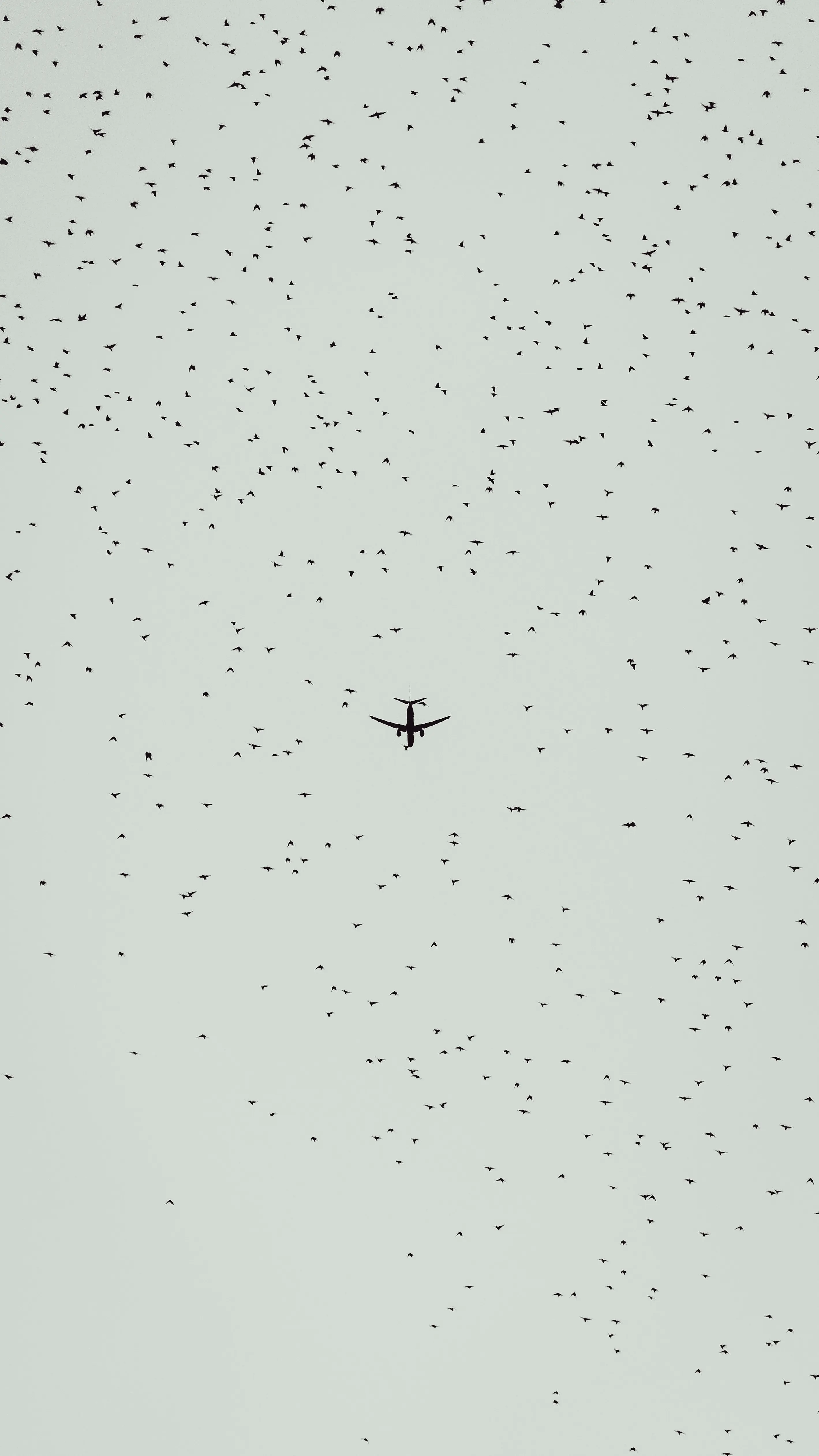 flying airliner in sky